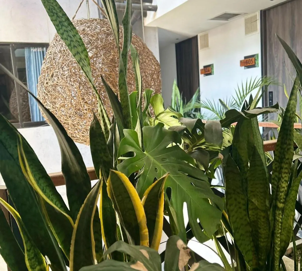 מדיין Hotel App Mde