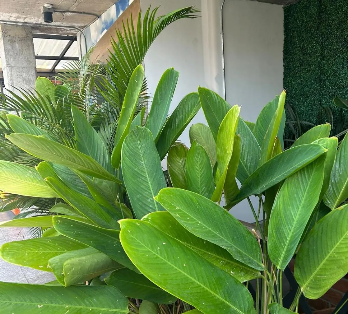Hotel App Mde Medellin